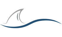 BLU VENTURES